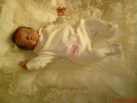 rebornbaba (készítette:Sülyi Zsuzsa) 16