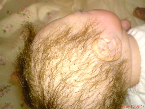 rebornbaba (készítette:Sülyi Zsuzsa) 4