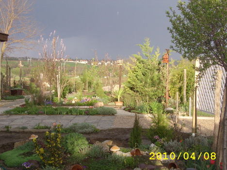 2010 április 035