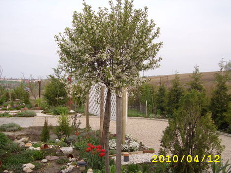 2010 április 071