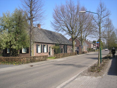 Hollandia Vorstenbosch  029