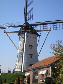 Hollandia Vorstenbosch Malom 017