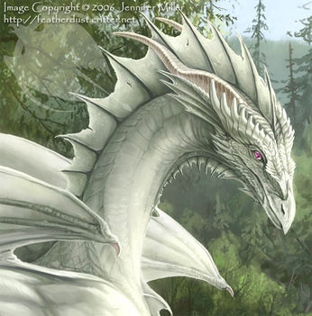 dragon 17