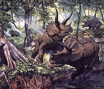 triceratopsz