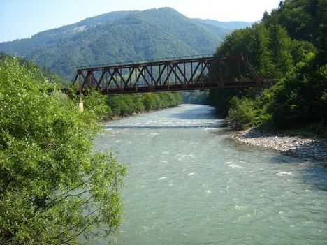 K_rp_talja_2008_08_14_17_066