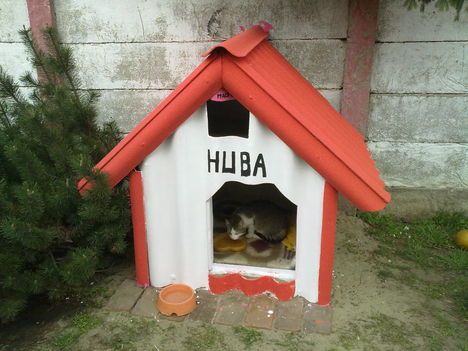 Huba ház