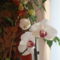 orchideák és kerti virágaim 1