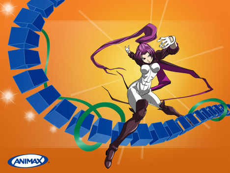 Animax 1