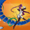 Animax 1