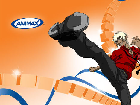 Animax 3