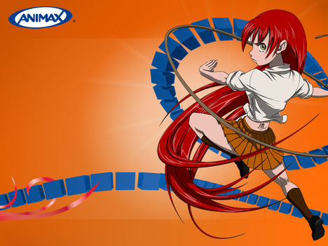 Animax 4