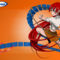 Animax 4