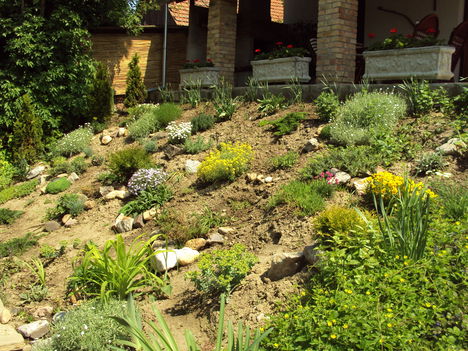 DSC00446