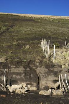 Chimborazo 4