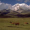 Chimborazo