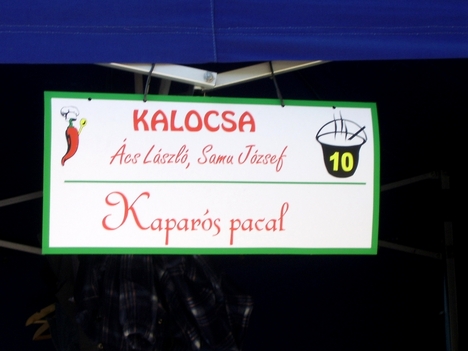 Kalocsa23