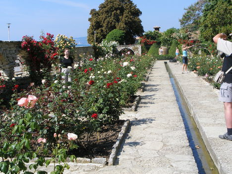 Románia, Bulgária 2009