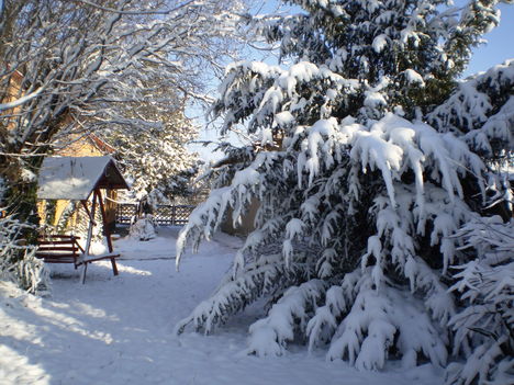 2009 karácsony  az udvarban