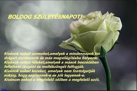 47928 szülinap
