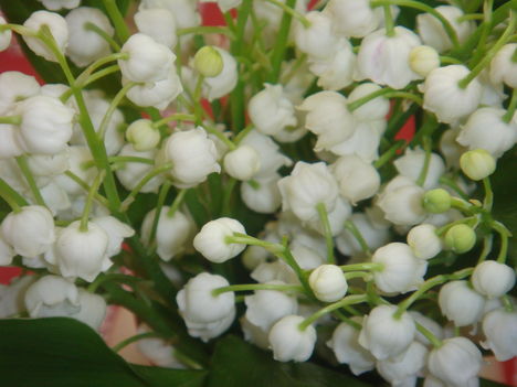 DSC00212
