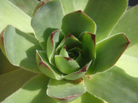 DSC00230