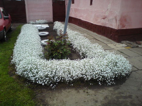 Kép 018