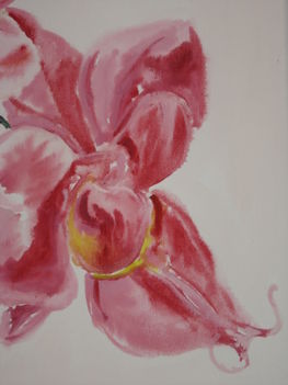 Orchidea (részlet)