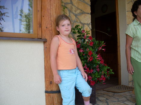 pic 245