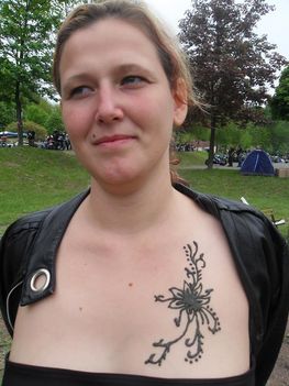 tstfestés 4