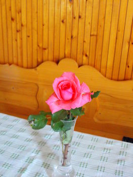 virágom 4