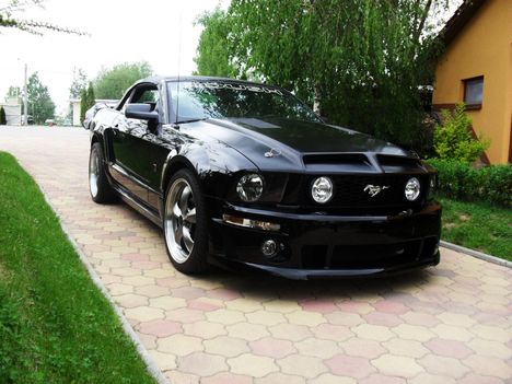 Mustang 2