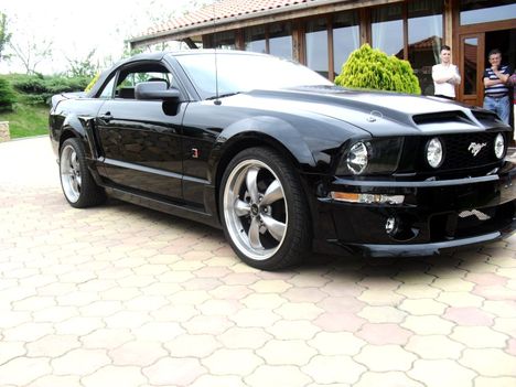 Mustang 3