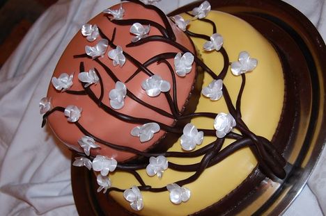 alkalmi torta 3