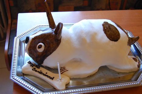 alkalmi torta 7