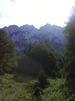 DSC00030
