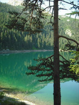 Durmitor Nemzeti Park-Fekete tó