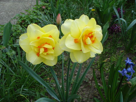 Kép 073