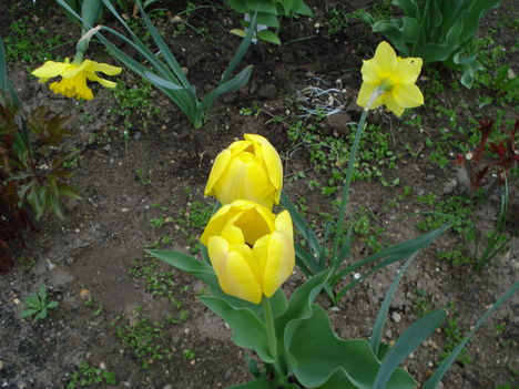 Kép 075