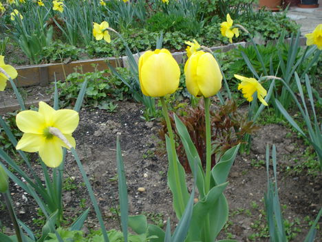 Kép 076
