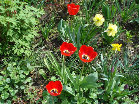 Kép 091