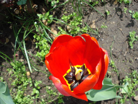 Kép 095