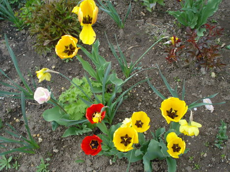 Kép 130