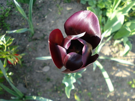 Kép 140