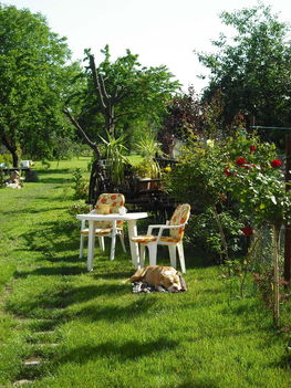 pihenő
