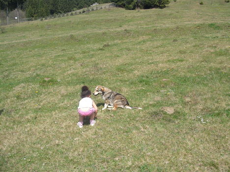 2010 május 1 Szandika kutyát etet