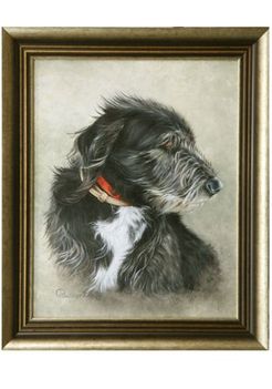 Kutya portré