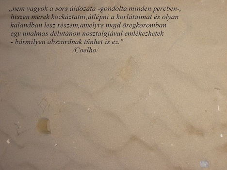 Bárhol a Világban 6