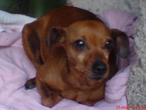 DSC00097