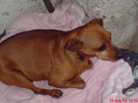 DSC00098