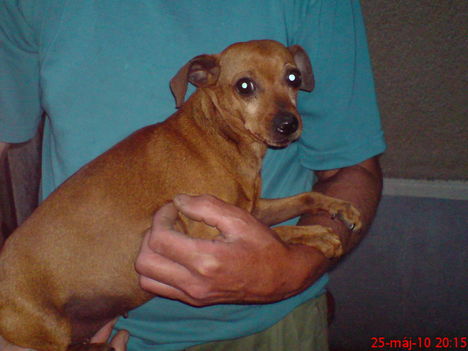 DSC00100